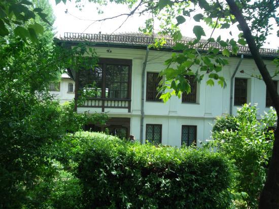 Theodor Pallady Müzesi